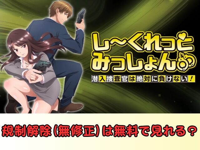 しーくれっとみっしょん 規制解除 サブスク おすすめ 無修正 アニメ どこで見れる