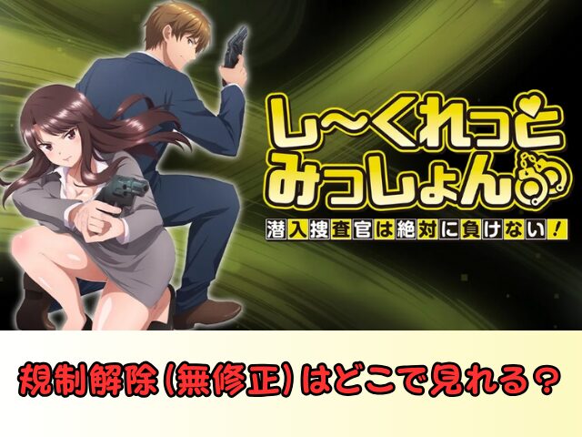しーくれっとみっしょん 規制解除 サブスク おすすめ 無修正 アニメ どこで見れる