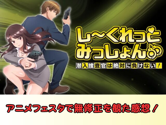 しーくれっとみっしょん 規制解除 サブスク おすすめ 無修正 アニメ どこで見れる