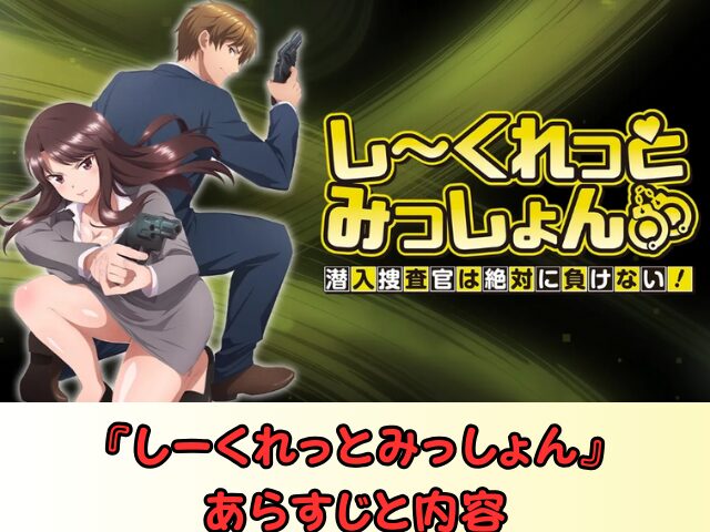 しーくれっとみっしょん 規制解除 サブスク おすすめ 無修正 アニメ どこで見れる
