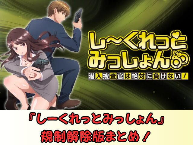 しーくれっとみっしょん 規制解除 サブスク おすすめ 無修正 アニメ どこで見れる