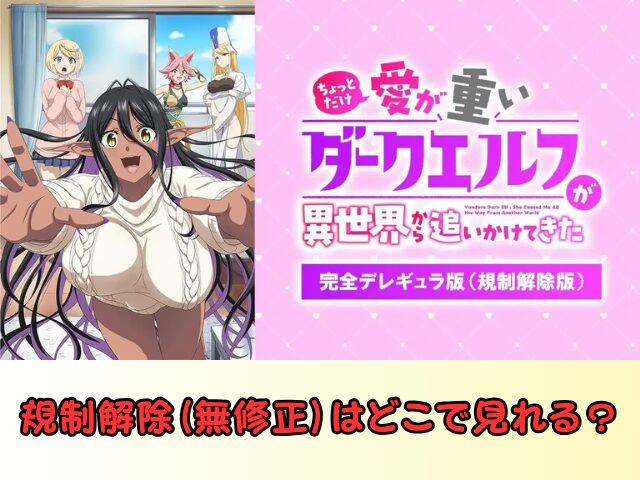 ちょっとだけ愛が重いダークエルフ 無修正版 アニメ どこで見れる 規制解除 サブスク