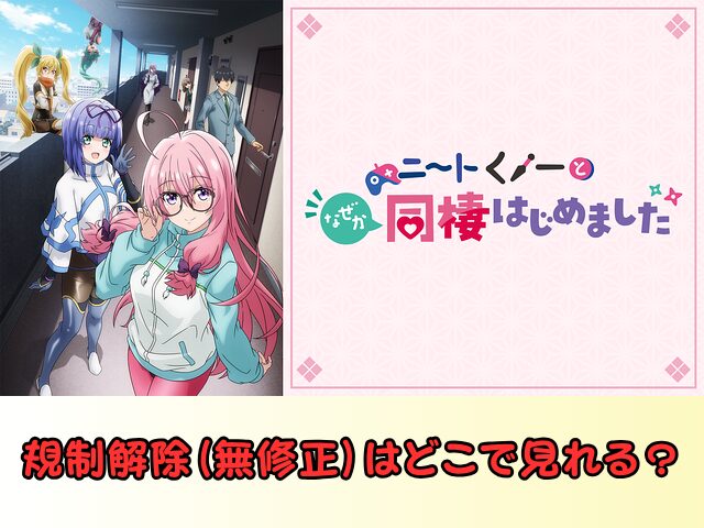ニートくノ一となぜか同棲はじめました 規制解除 サブスク おすすめ 無修正 アニメ どこで見れる