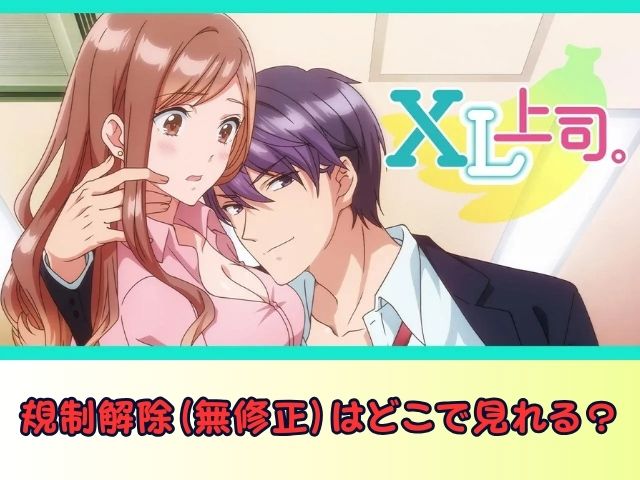 XL上司。 無修正 規制解除版 僧侶枠 アニメ サブスク