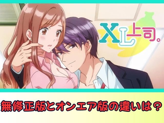 XL上司。 無修正 規制解除版 僧侶枠 アニメ サブスク