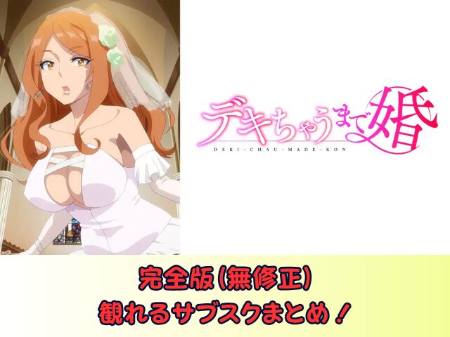 デキちゃうまで婚　無修正　規制解除版　僧侶枠　アニメ　サブスク