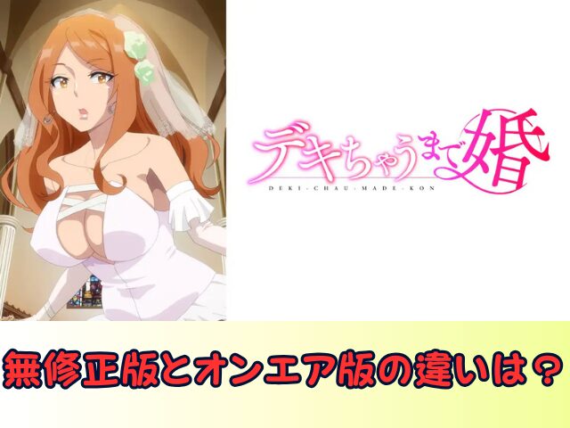 デキちゃうまで婚　無修正　規制解除版　僧侶枠　アニメ　サブスク