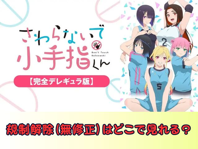 さわらないで小手指くん 完全デレギュラ版 無修正 規制解除版 僧侶枠 アニメ サブスク