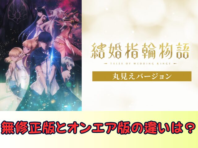 結婚指輪物語 丸見えバージョン　無修正　規制解除版　僧侶枠　アニメ　サブスク
