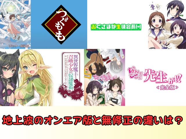 U-NEXT エロアニメ 規制解除 おすすめ