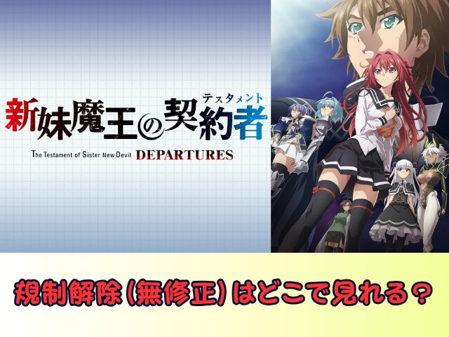 新妹魔王の契約者 DEPARTURES 無修正 規制解除版 僧侶枠 アニメ サブスク