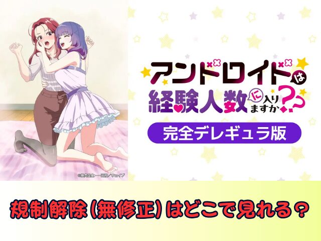 アンドロイドは経験人数に入りますか?? 無修正 規制解除版 僧侶枠 アニメ サブスク