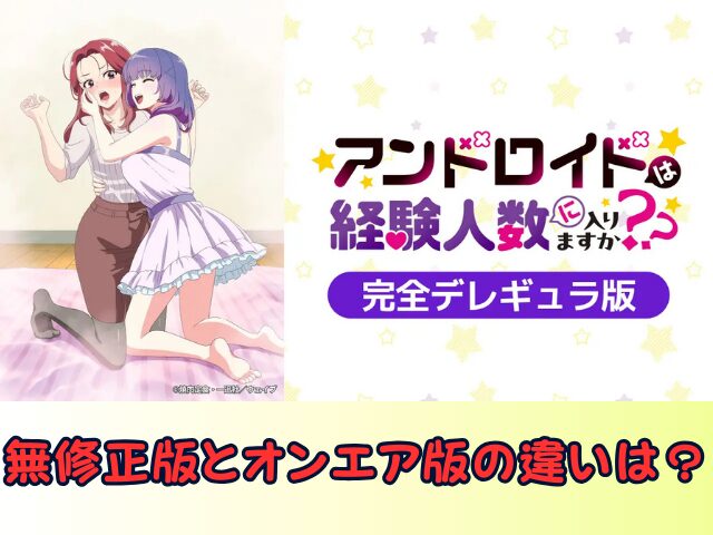 アンドロイドは経験人数に入りますか?? 無修正 規制解除版 僧侶枠 アニメ サブスク