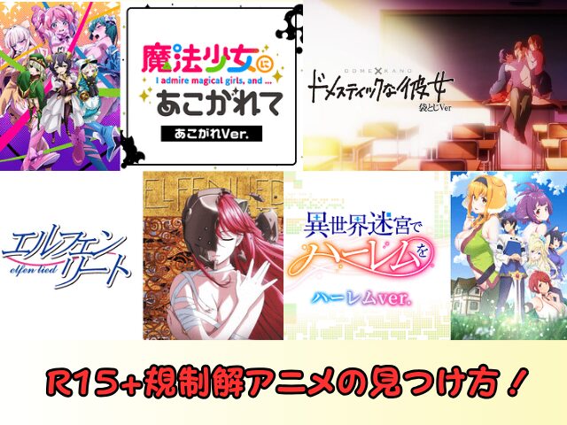 dアニメストア　規制解除　アニメ　R15+